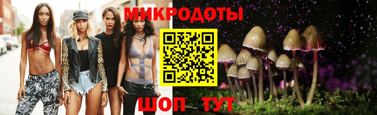 Галлюциногенные грибы прущие грибы  Вход с VPN  Галлюциногенные грибы прущие грибы  даркнет сайт  Александров 